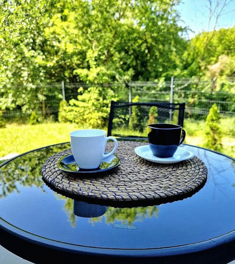 Comfortable Flat With Garden Poznań Appartamento