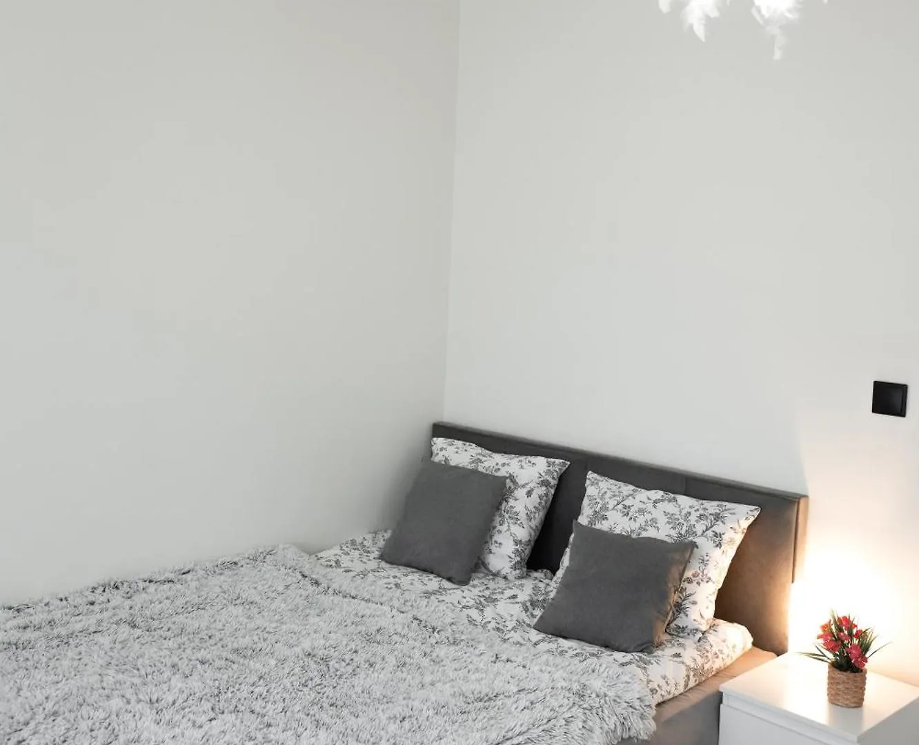 Apartment Comfortable Flat With Garden Poznan Poland